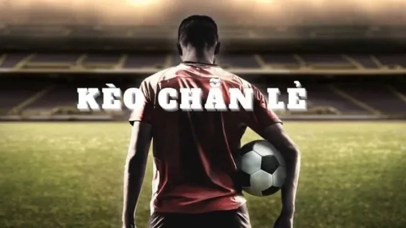 Áp dụng tỷ lệ kèo chẵn lẻ đối với từng trận bóng 