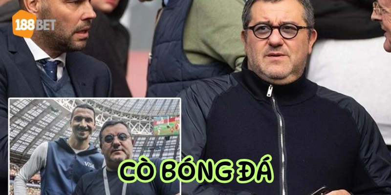 Tại sao ngôi sao lớn lại cần cò?